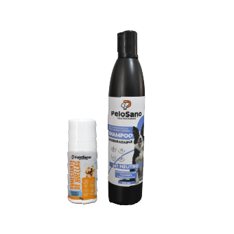COMBO: HIDRATANTE DE HUELLAS + SHAMPOO