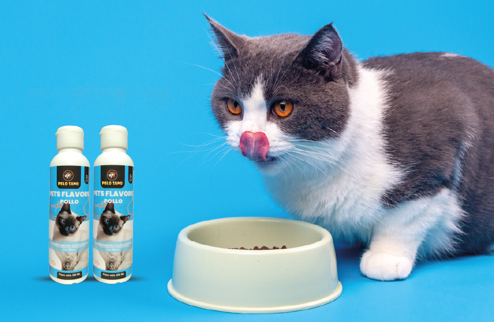 PELO SANO GATOS PACK X 6