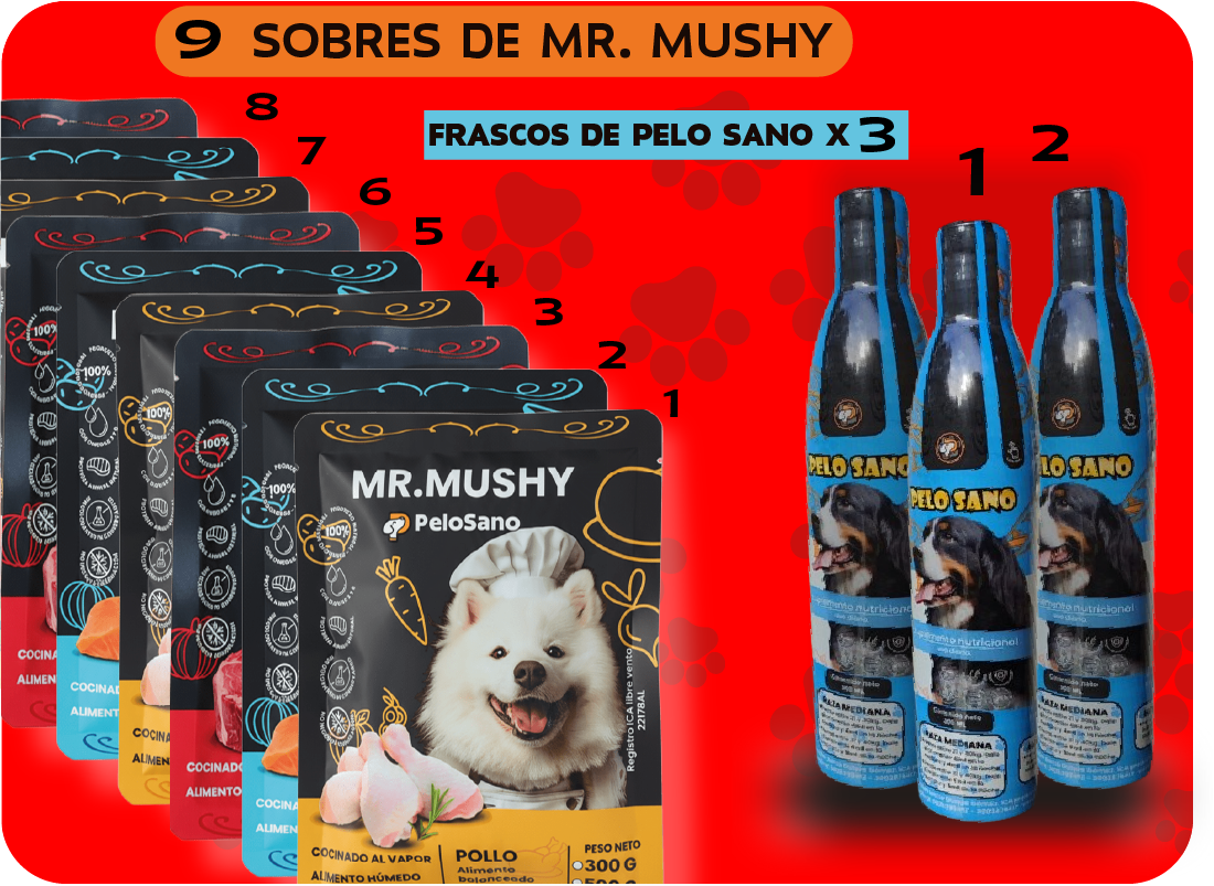 9 MR.MUSHY + 3 PELO SANO B/F.