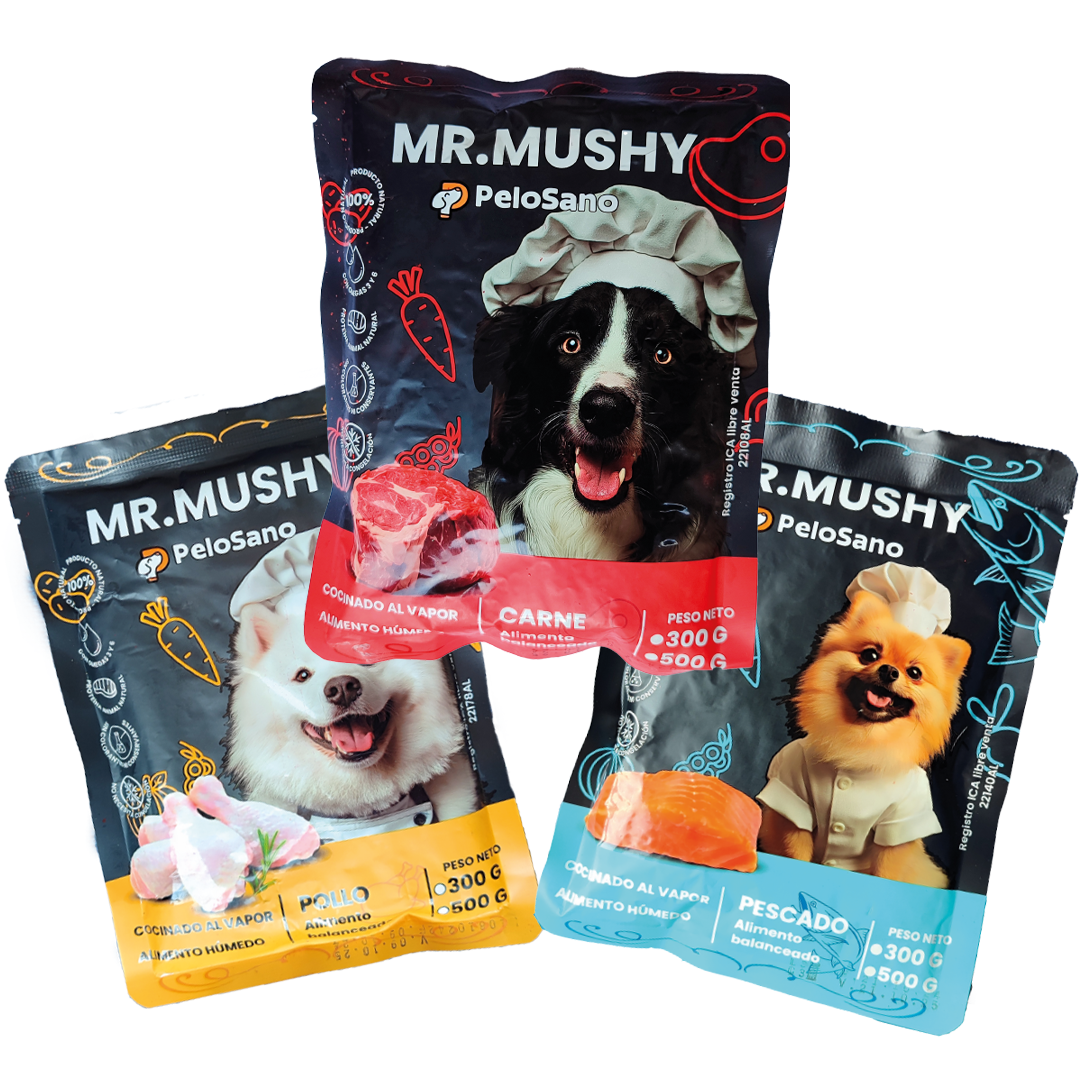 MR.MUSHY PACK X3 UND
