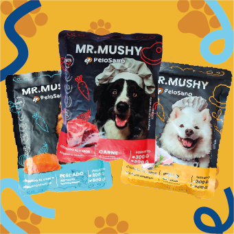 MR.MUSHY PACK X10 UND