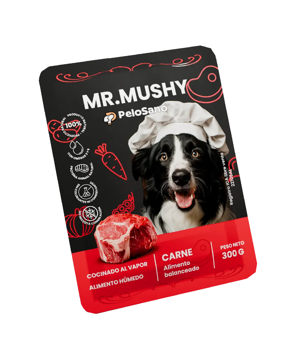 Comida para Perros Mr. Mushy Caja x10 – Alimento Húmedo Natural Sin Conservantes