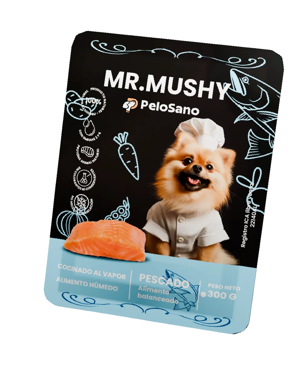 Comida para Perros Mr. Mushy Caja x10 – Alimento Húmedo Natural Sin Conservantes