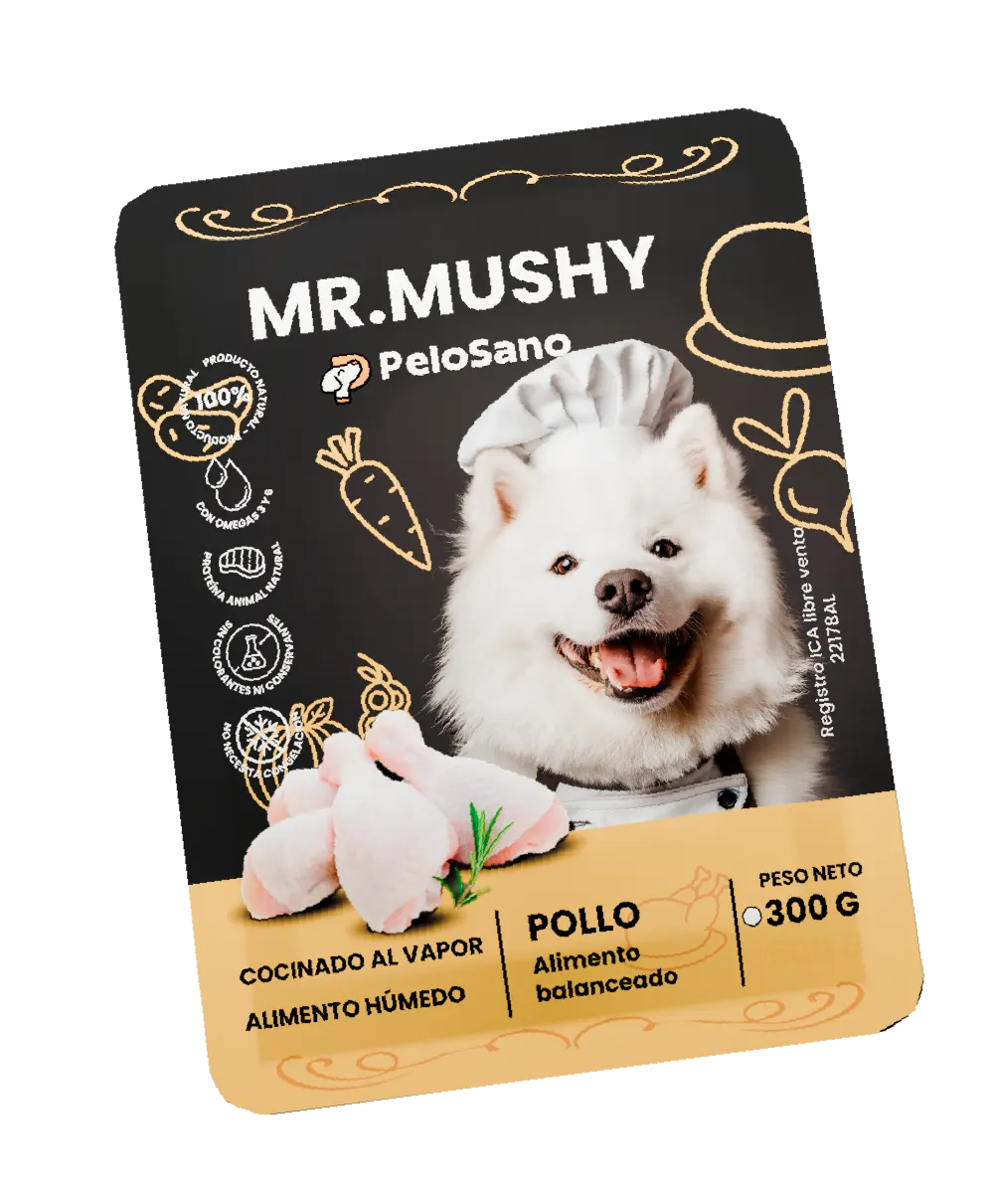 Comida para Perros Mr. Mushy Caja x10 – Alimento Húmedo Natural Sin Conservantes